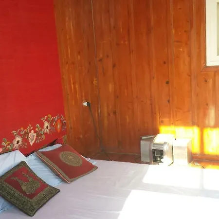 Apollo Didim ريثيمنو