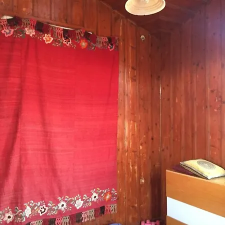 Apollo Didim Guest house